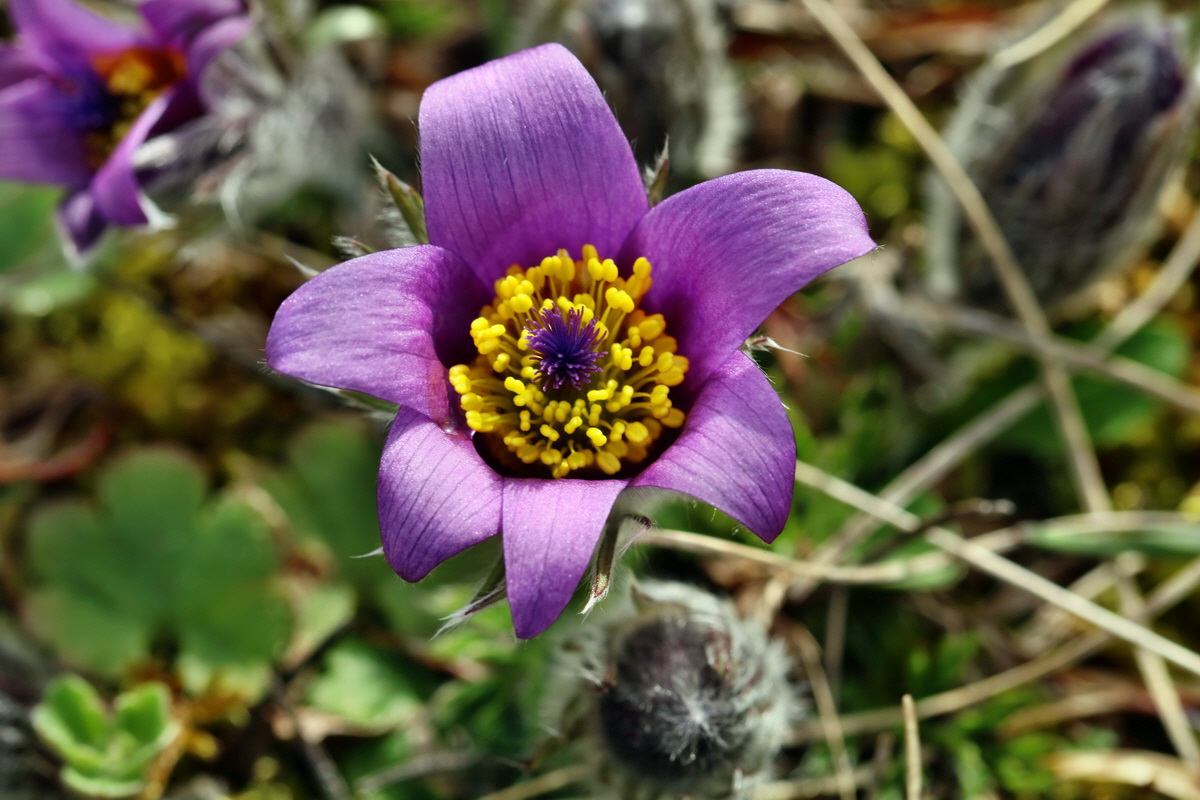 RNA-2017-03-22-00026479p_Bildgr��e �ndern