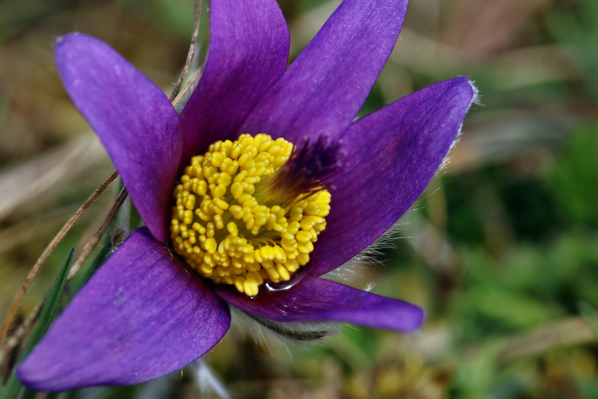 RNA-2017-03-22-00026506p_Bildgr��e �ndern