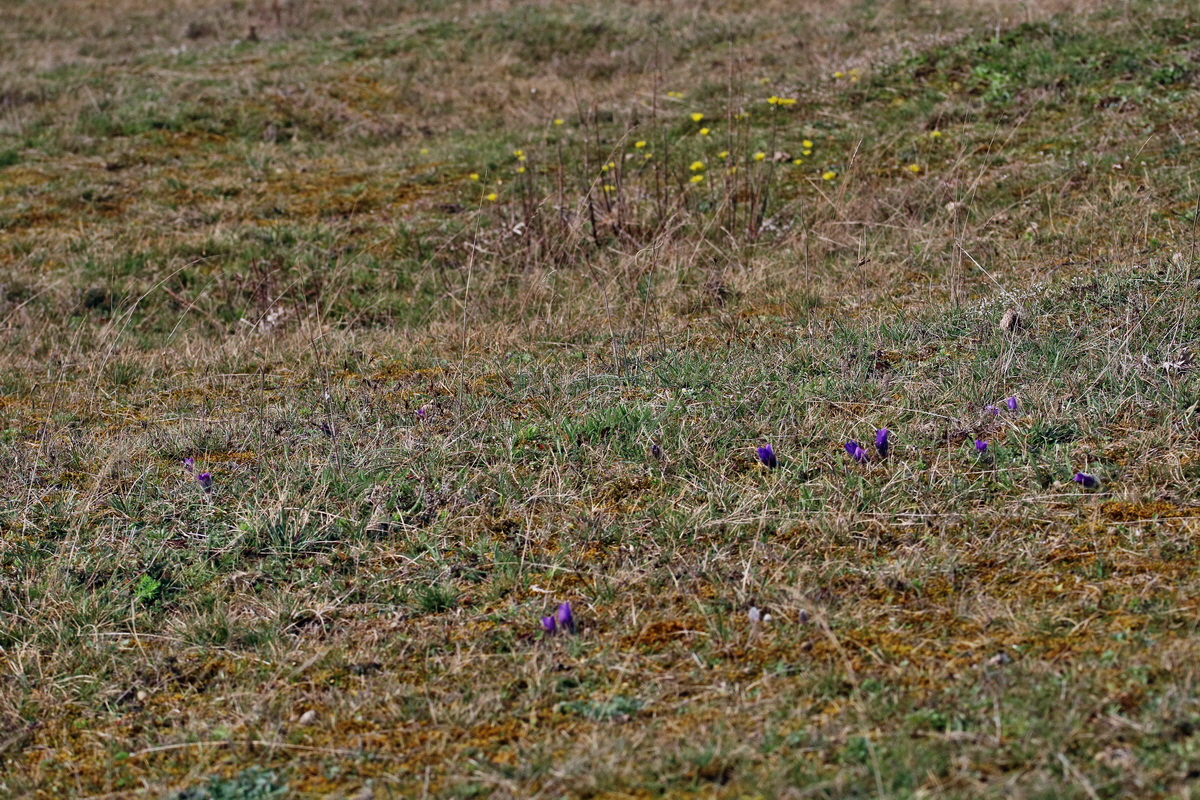 RNA-2017-03-22-00026512p_Bildgr��e �ndern