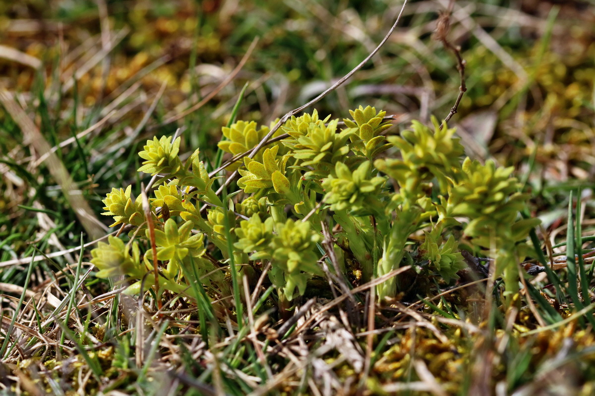 RNA-2017-03-22-00026517p_Bildgr��e �ndern