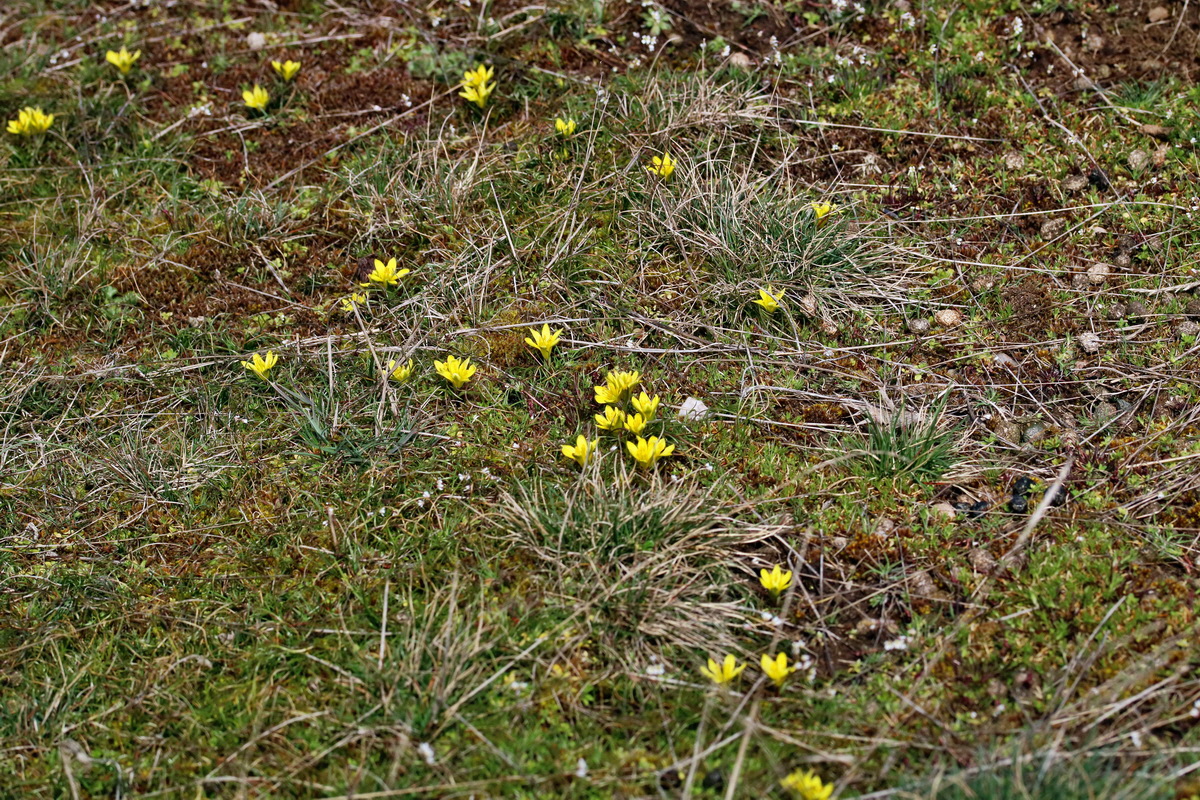 RNA-2017-03-22-00026518p_Bildgr��e �ndern