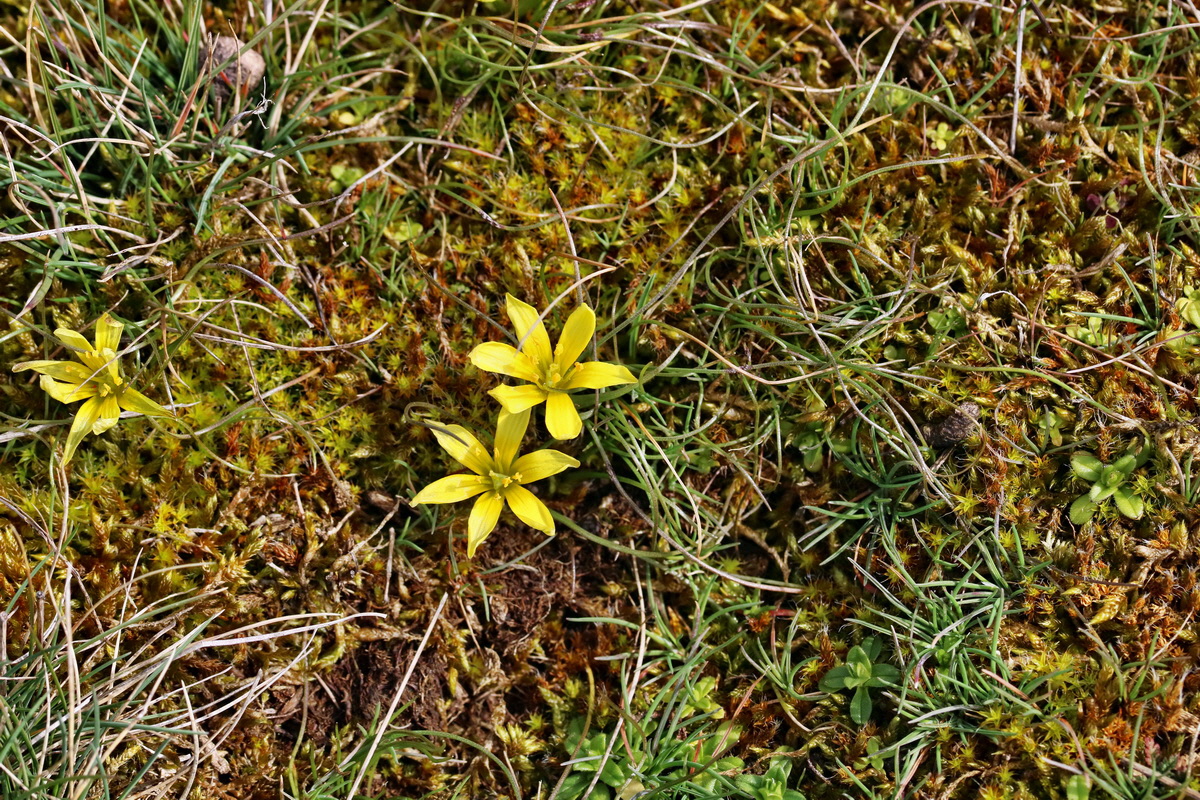 RNA-2017-03-22-00026520p_Bildgr��e �ndern