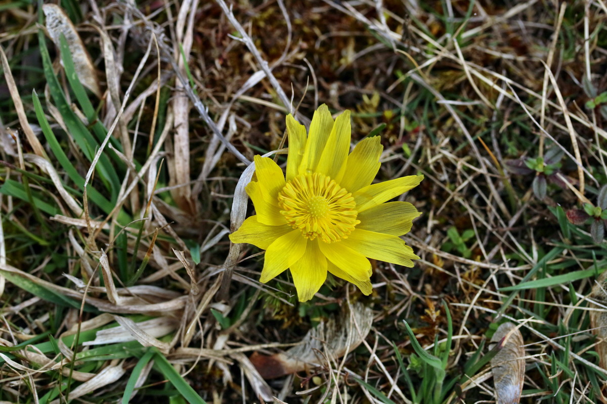 RNA-2017-03-22-00026543p_Bildgr��e �ndern