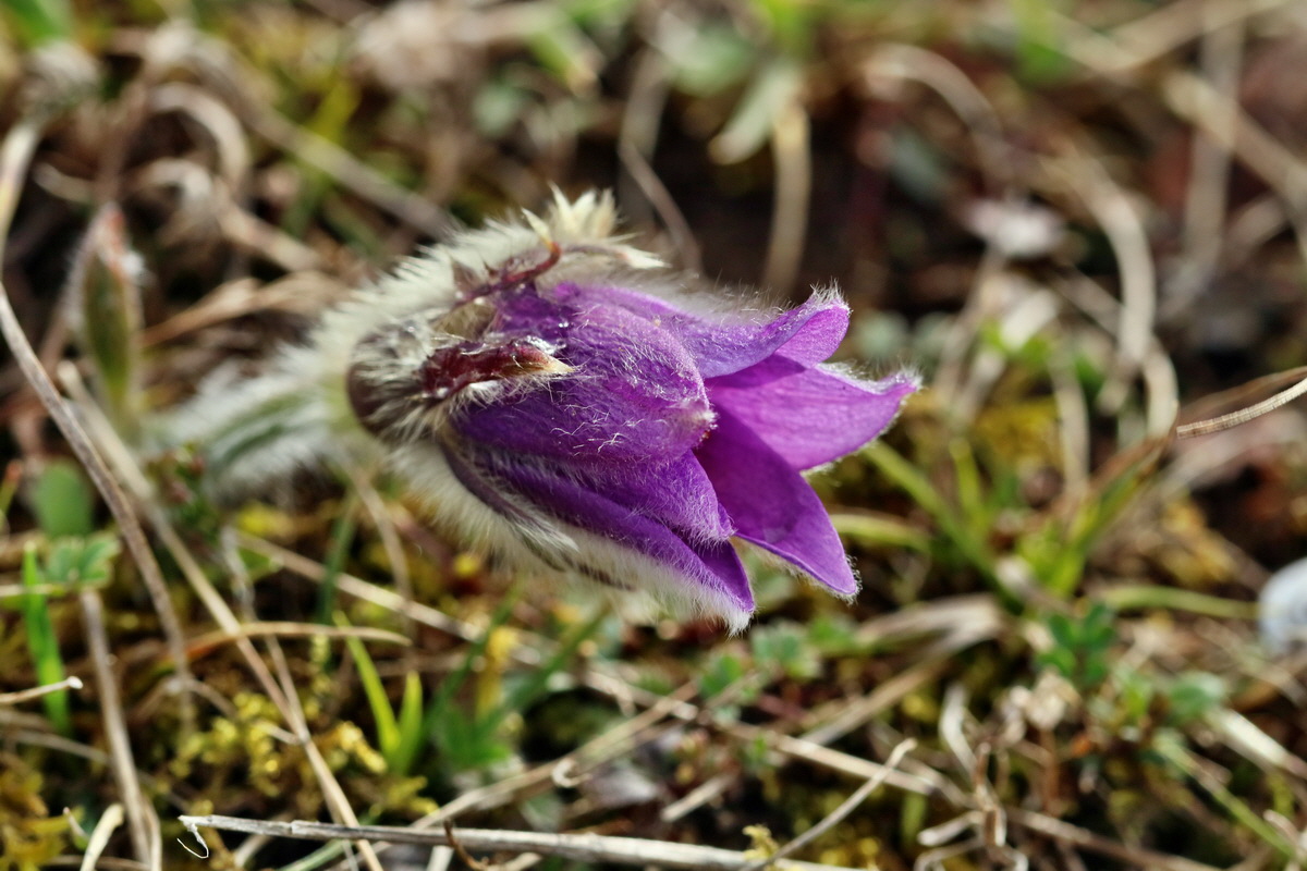 RNA-2017-03-22-00026547p_Bildgr��e �ndern