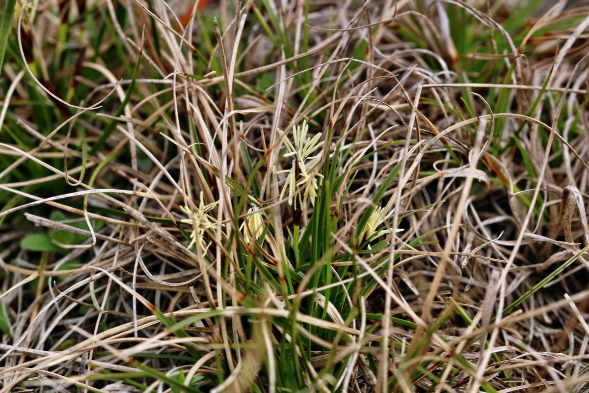 RNA-2017-03-22-00026550p_Bildgr��e �ndern