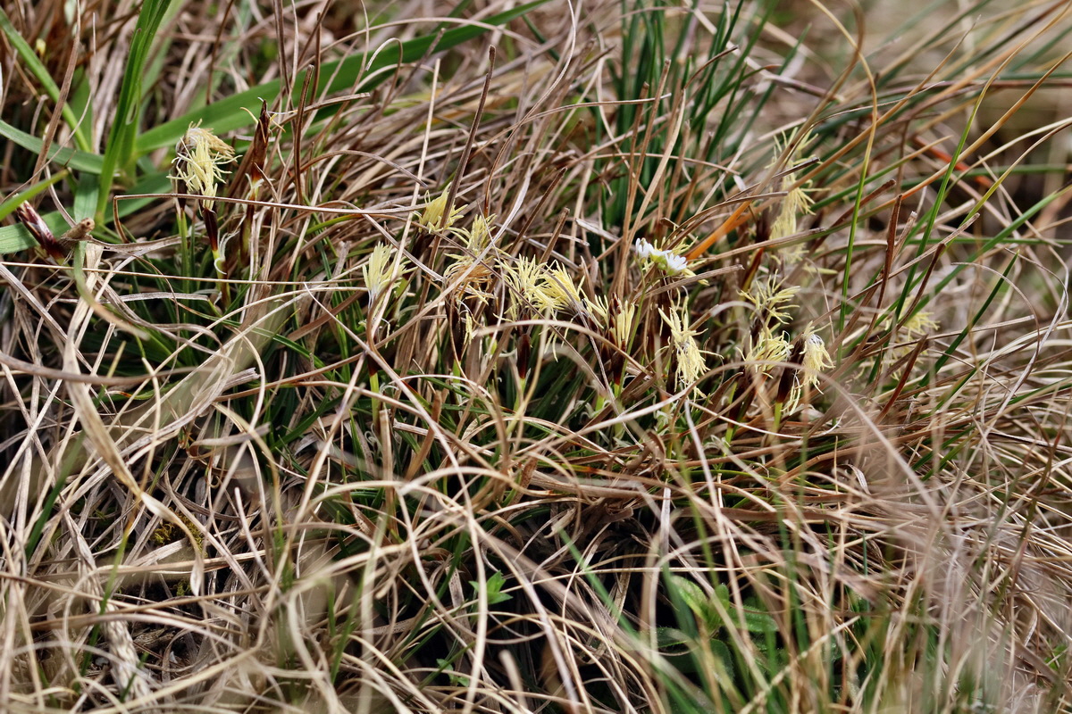 RNA-2017-03-22-00026562p_Bildgr��e �ndern