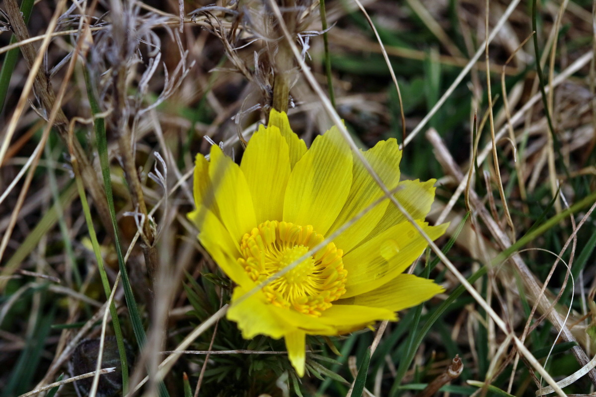 RNA-2017-03-22-00026564p_Bildgr��e �ndern