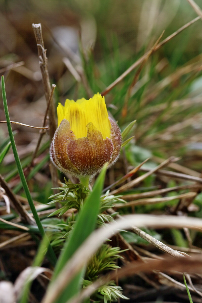 RNA-2017-03-22-00026573p_Bildgr��e �ndern