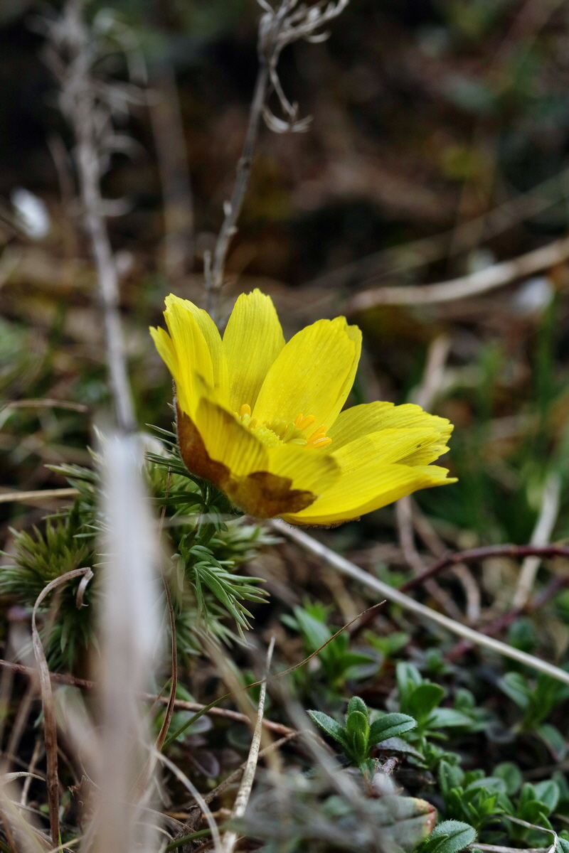 RNA-2017-03-22-00026578p_Bildgr��e �ndern