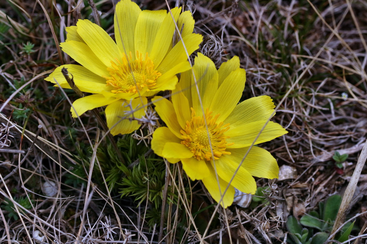 RNA-2017-03-22-00026583p_Bildgr��e �ndern