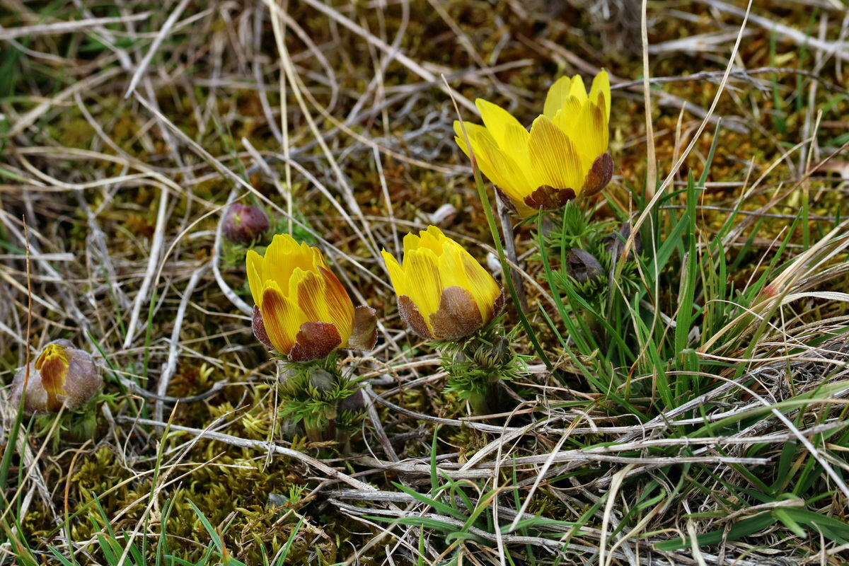 RNA-2017-03-22-00026597p_Bildgr��e �ndern