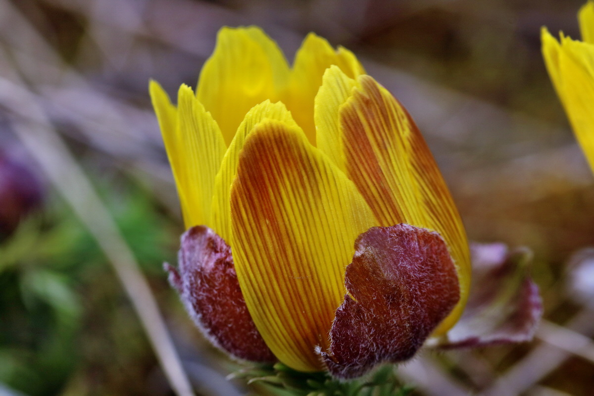 RNA-2017-03-22-00026606p_Bildgr��e �ndern