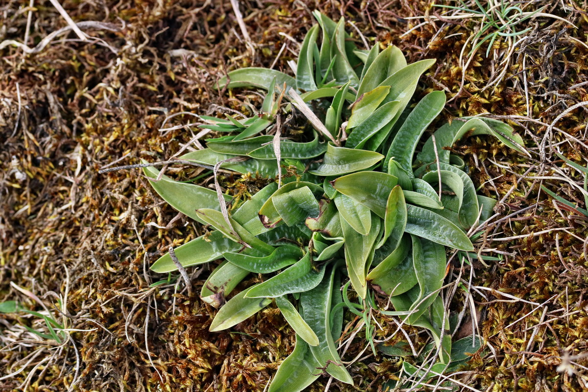 RNA-2017-03-22-00026644p_Bildgr��e �ndern