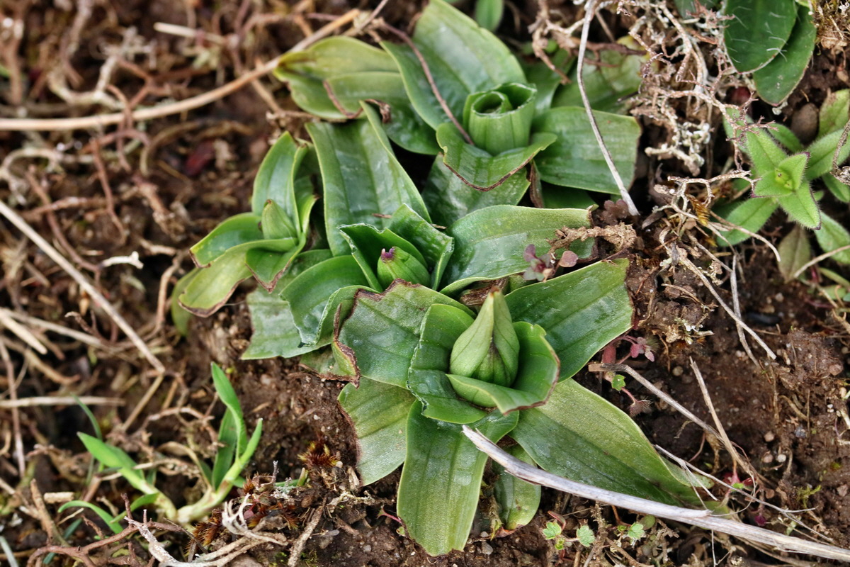 RNA-2017-03-22-00026651p_Bildgr��e �ndern