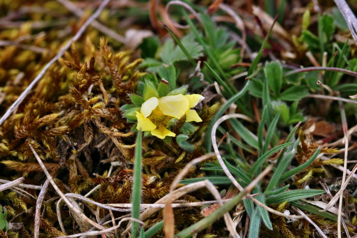 RNA-2017-03-22-00026656p_Bildgr��e �ndern