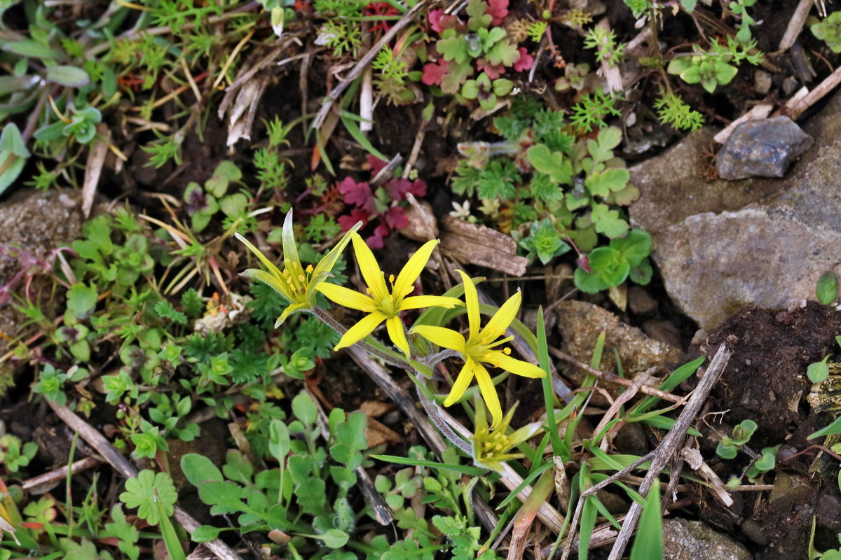 RNA-2017-03-22-00026668p_Bildgr��e �ndern