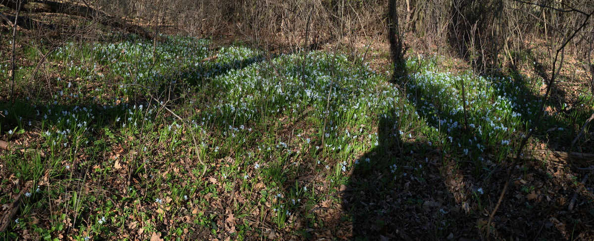 [Group 3]-RNA-2017-03-25-00026681_RNA-2017-03-25-00026688-8 images_Bildgr��e �ndern