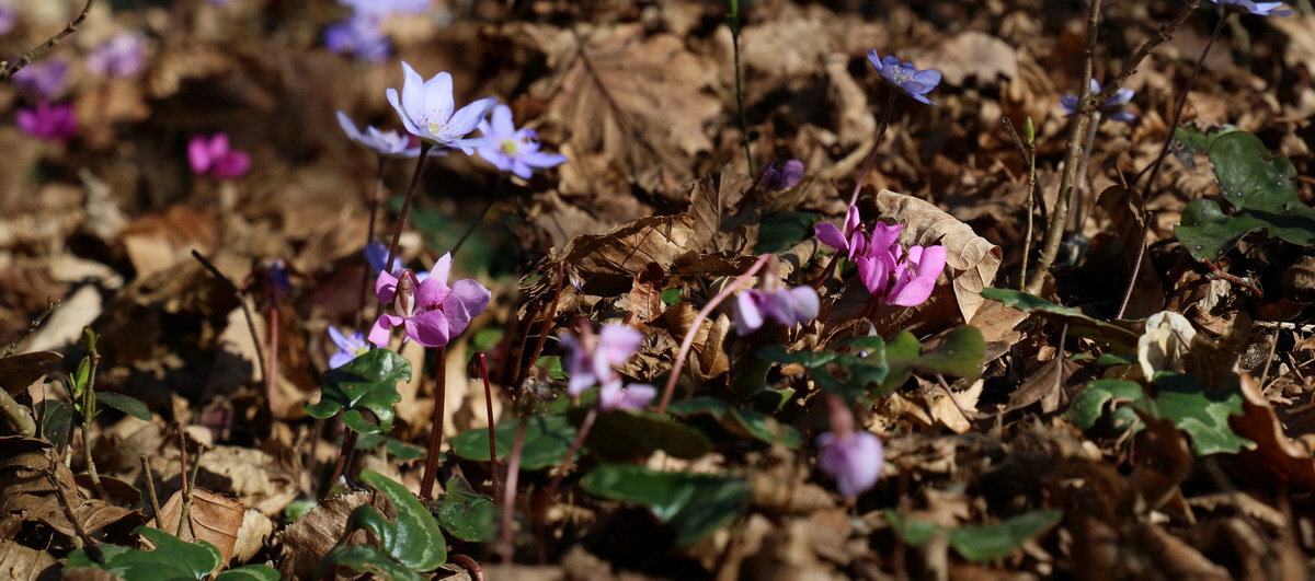 [Group 9]-RNA-2017-03-25-00026711_RNA-2017-03-25-00026714-2 images_Bildgr��e �ndern