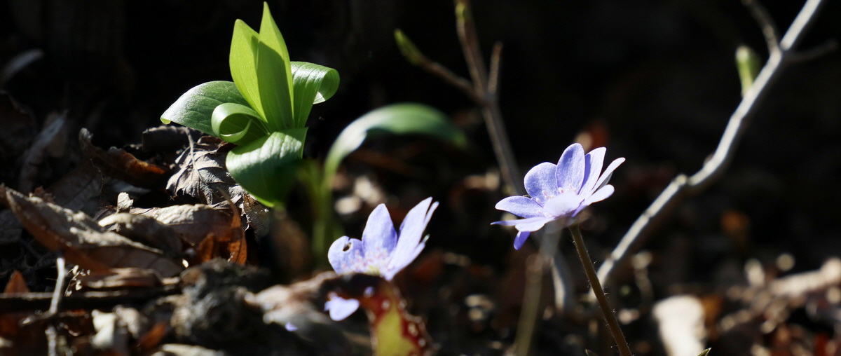 [Group 9]-RNA-2017-03-25-00026717_RNA-2017-03-25-00026720-4 images_Bildgr��e �ndern