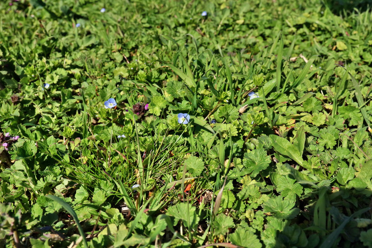 RNA-2017-03-25-00026675p_Bildgr��e �ndern