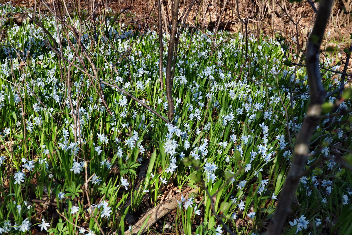 RNA-2017-03-25-00026689p_Bildgr��e �ndern