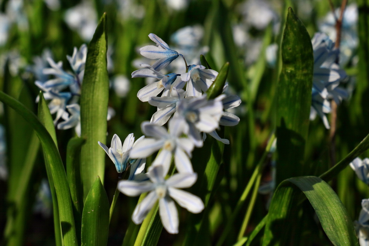 RNA-2017-03-25-00026691p_Bildgr��e �ndern