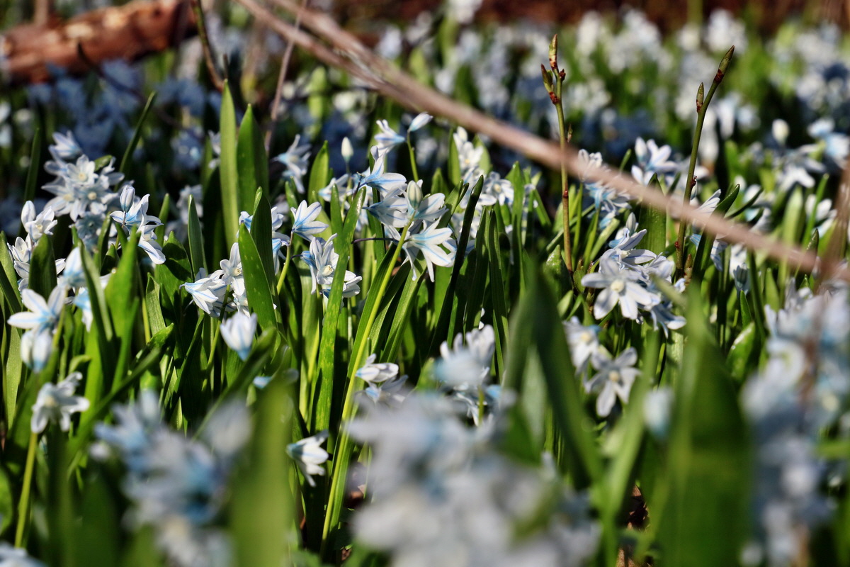 RNA-2017-03-25-00026695p_Bildgr��e �ndern