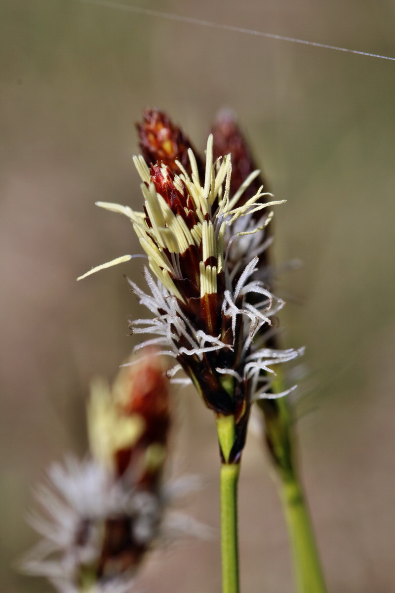 RNA-2017-03-25-00026741p_Bildgr��e �ndern