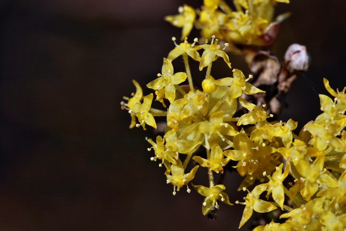 RNA-2017-03-25-00026774p_Bildgr��e �ndern