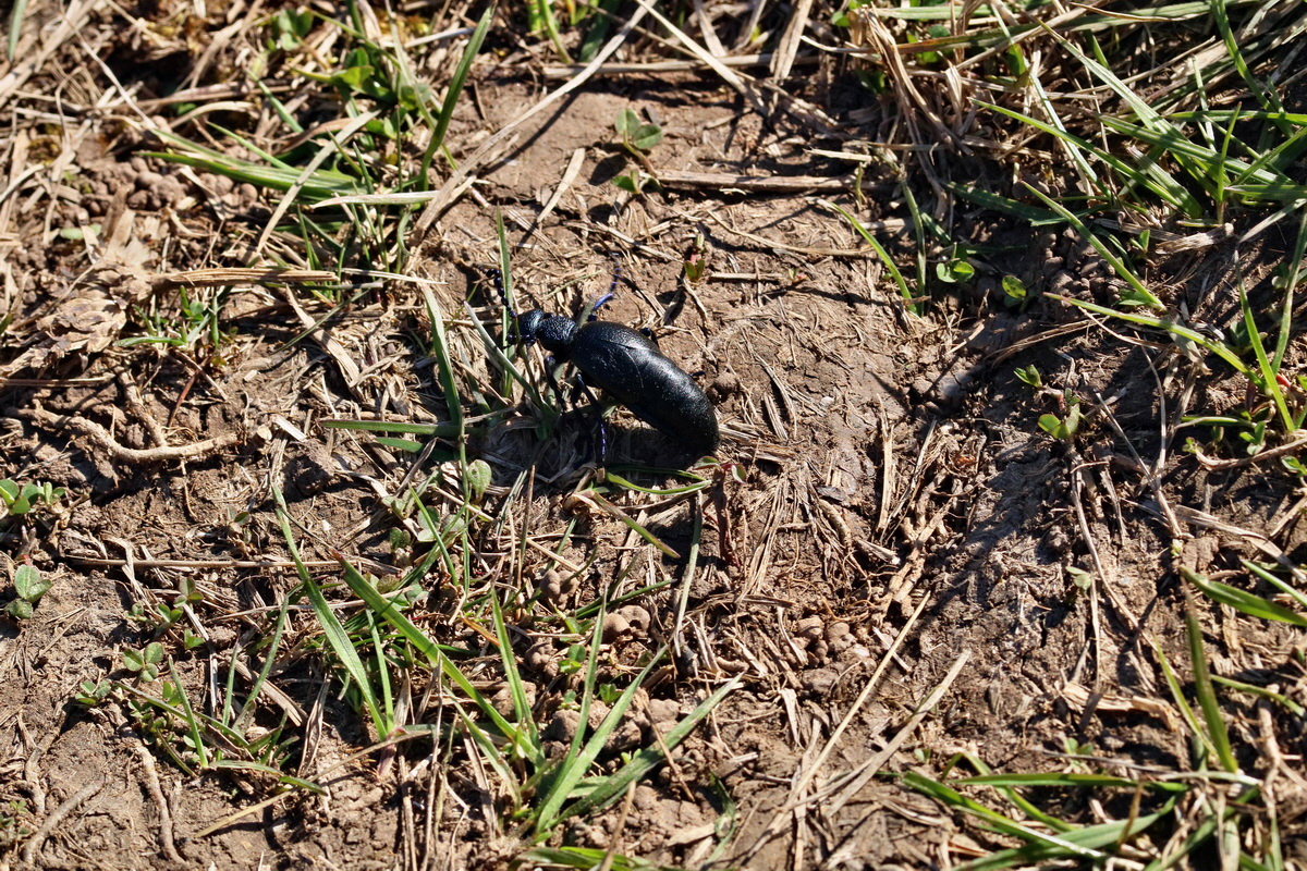 RNA-2017-03-25-00026786p_Bildgr��e �ndern