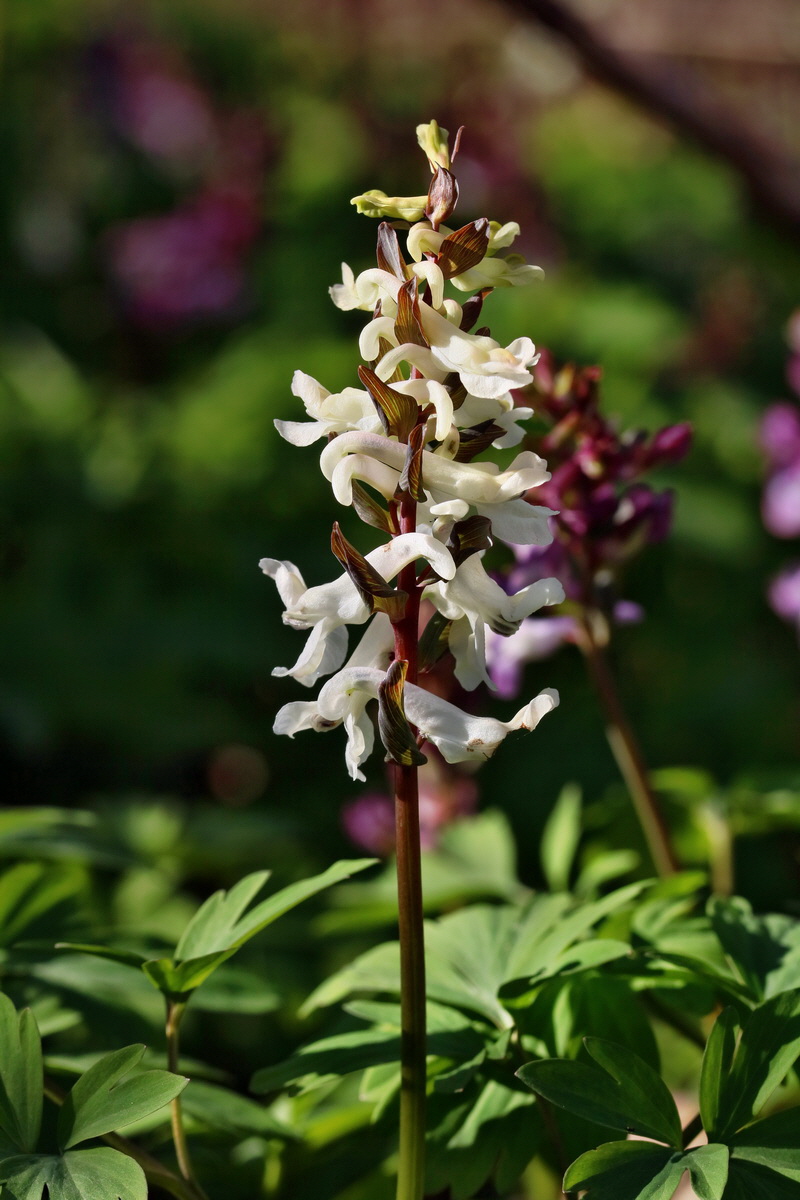 RNA-2017-03-25-00026794p_Bildgr��e �ndern