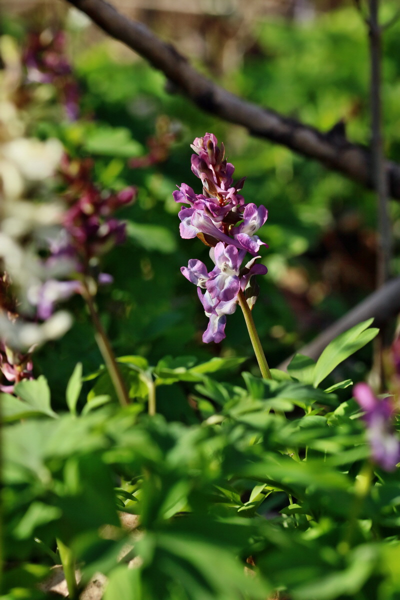 RNA-2017-03-25-00026798p_Bildgr��e �ndern