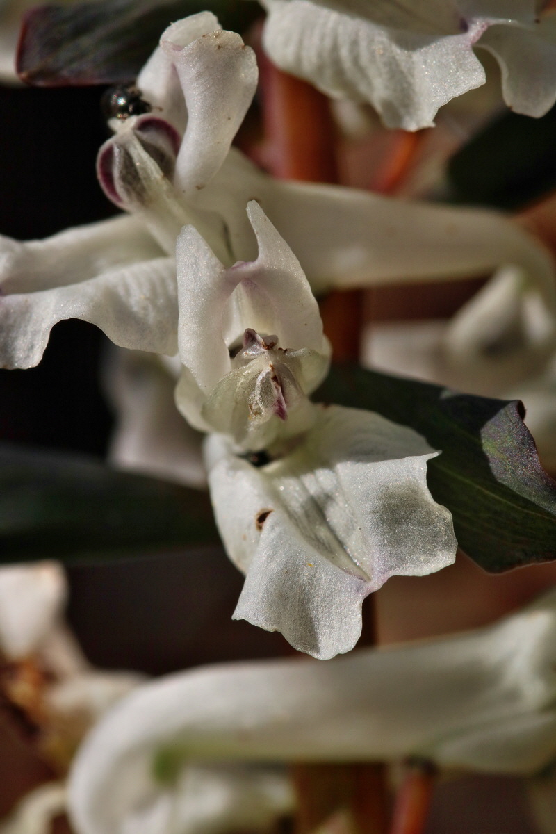 RNA-2017-03-25-00026814p_Bildgr��e �ndern