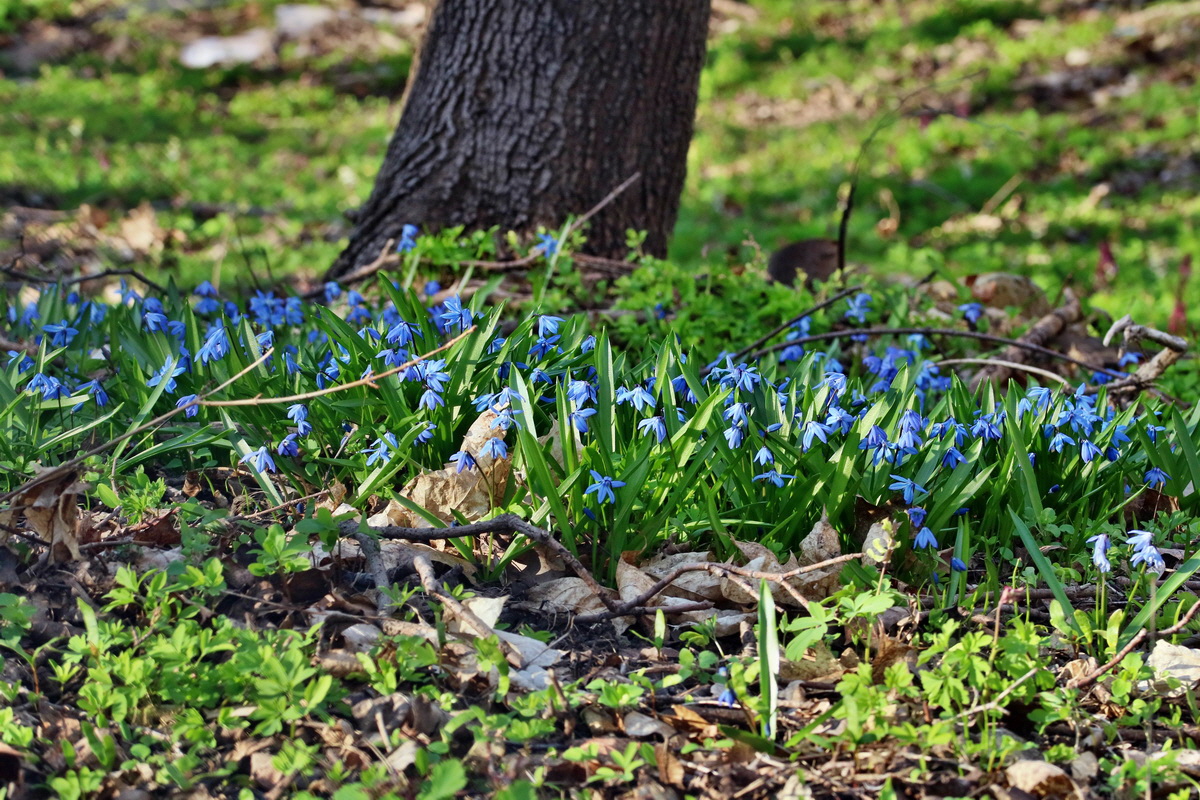 RNA-2017-03-25-00026818p_Bildgr��e �ndern