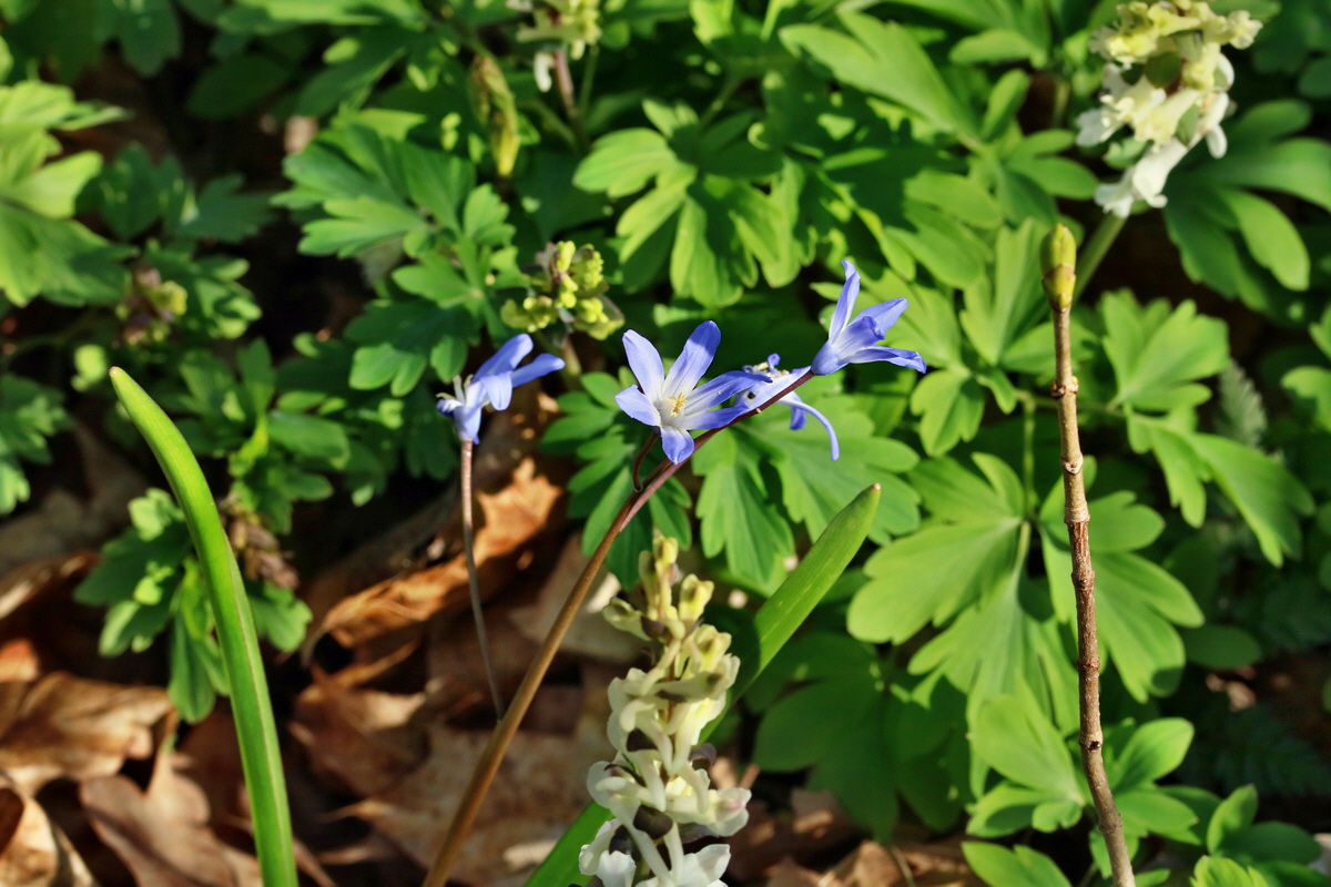 RNA-2017-03-25-00026823p_Bildgr��e �ndern