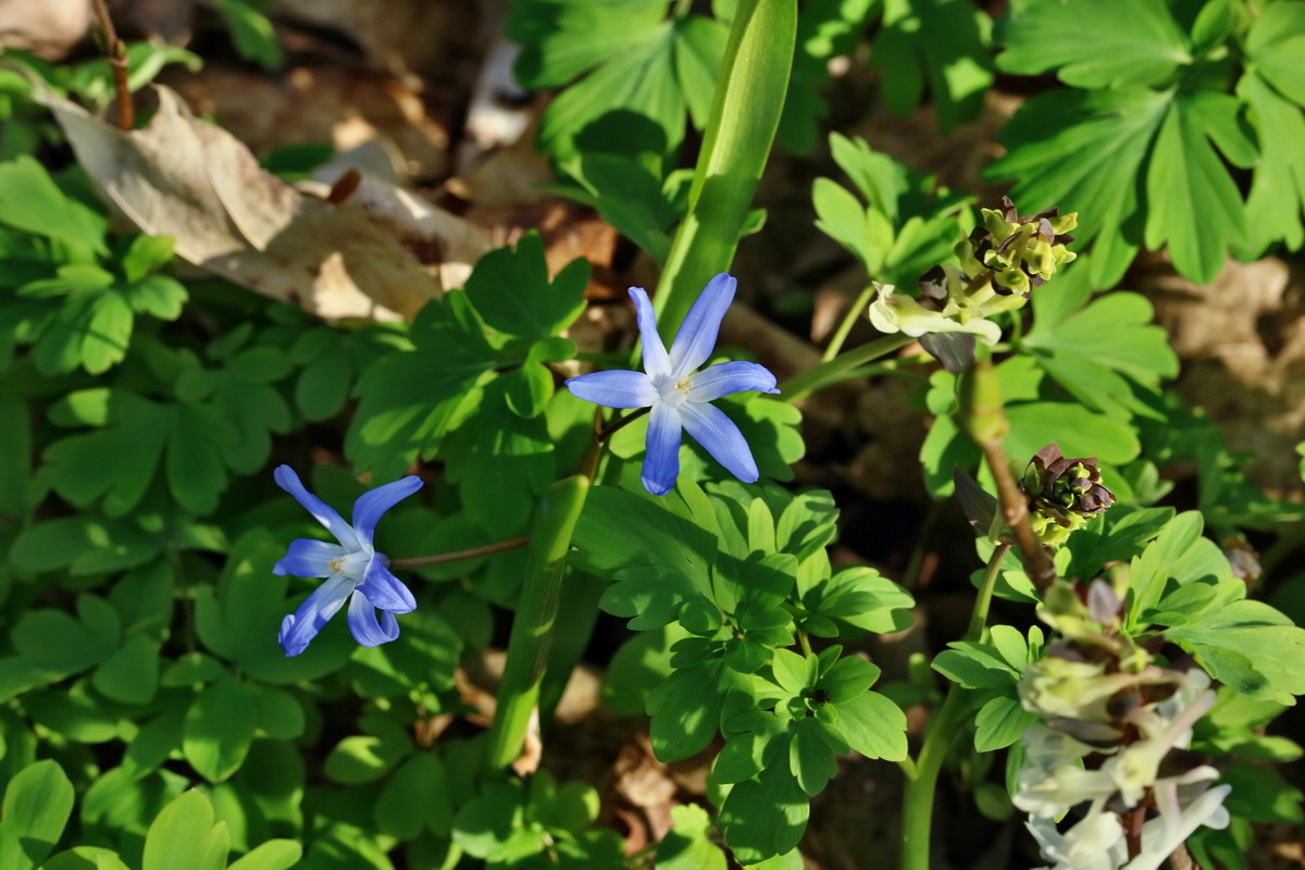 RNA-2017-03-25-00026824p_Bildgr��e �ndern