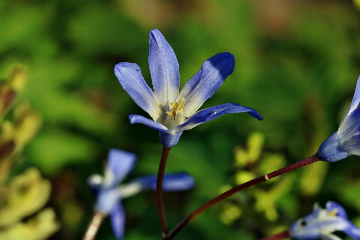 RNA-2017-03-25-00026828p_Bildgr��e �ndern