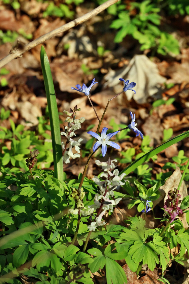 RNA-2017-03-25-00026836p_Bildgr��e �ndern