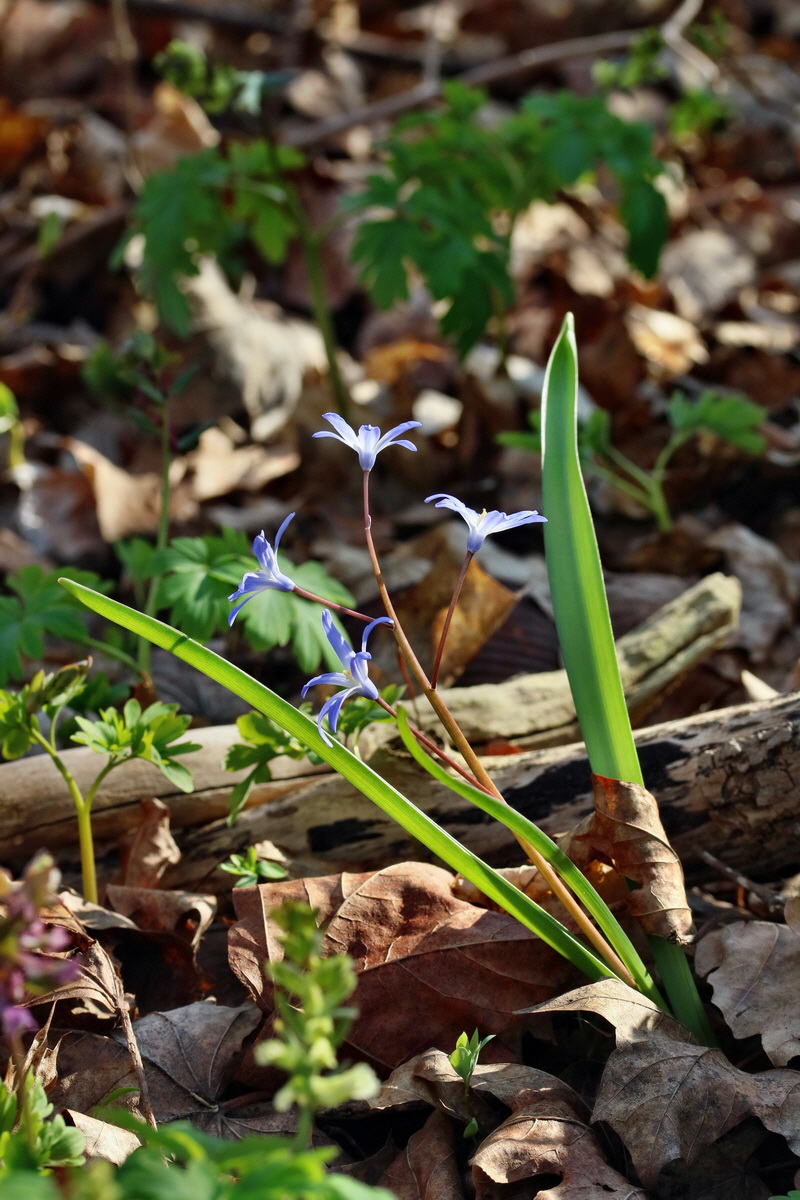 RNA-2017-03-25-00026842p_Bildgr��e �ndern