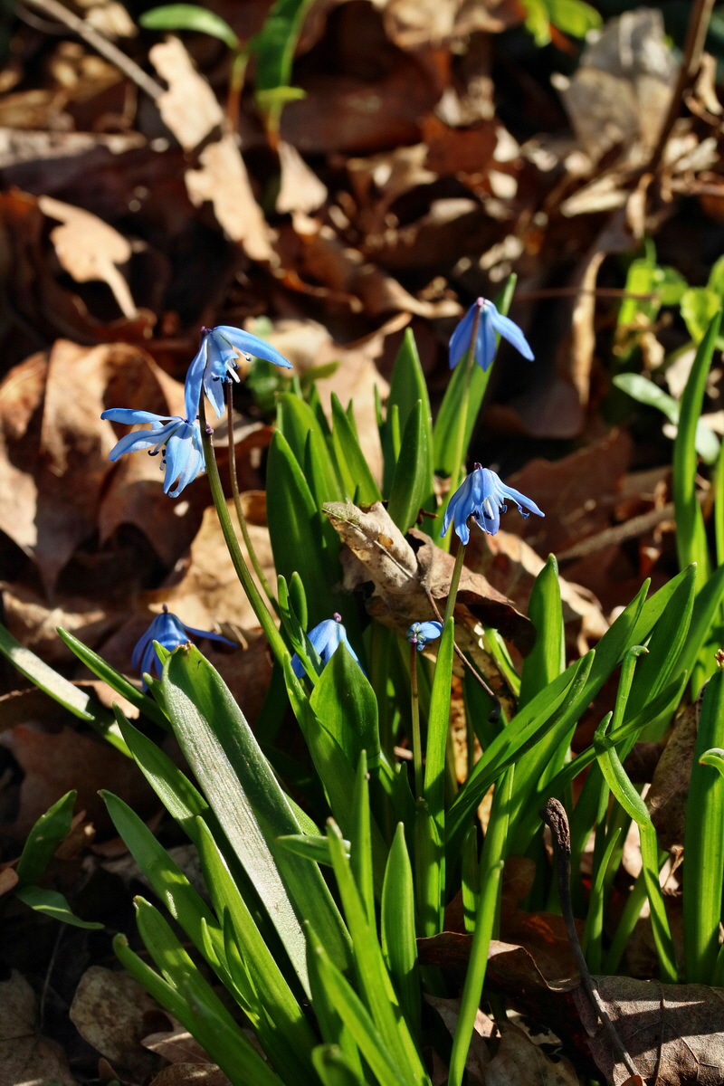 RNA-2017-03-25-00026845p_Bildgr��e �ndern