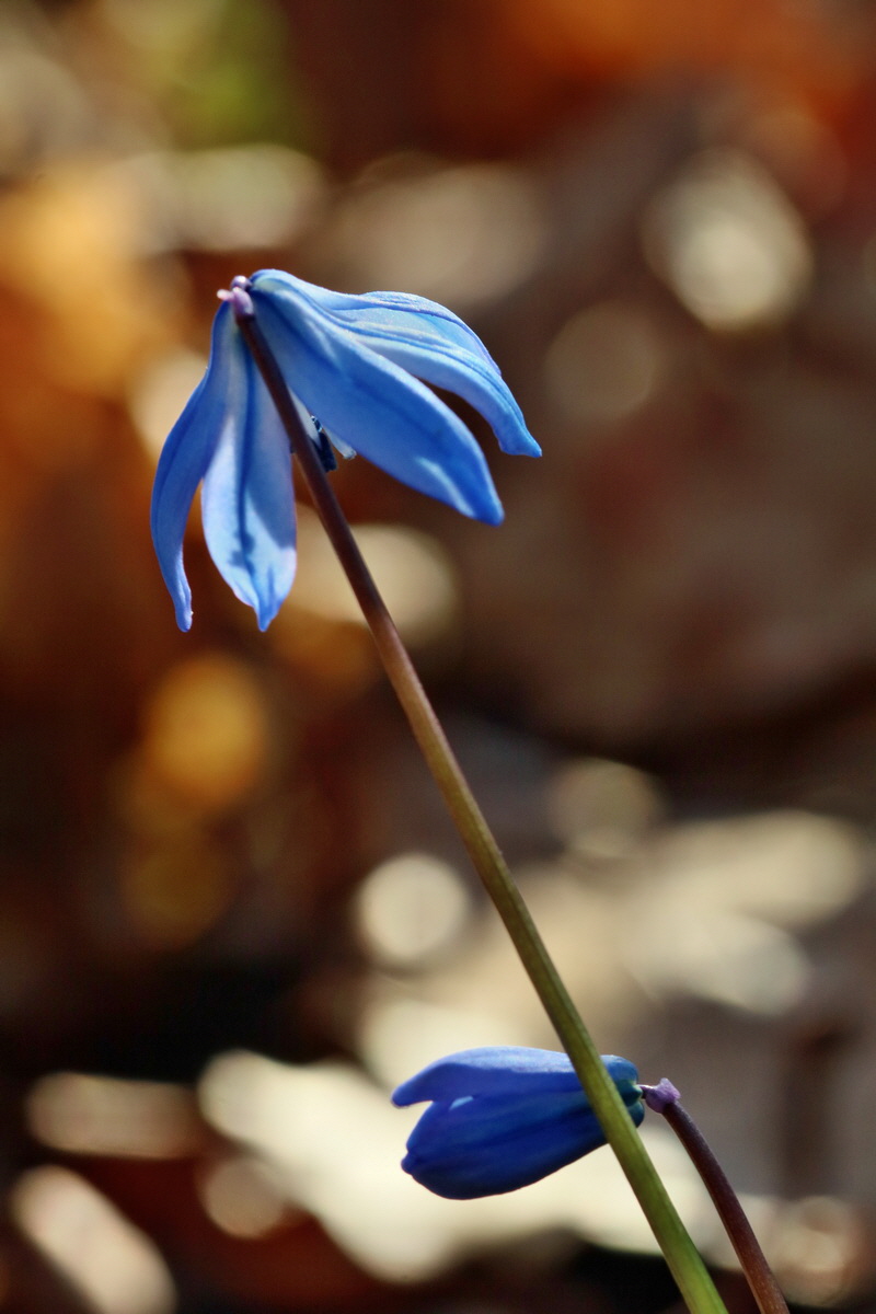 RNA-2017-03-25-00026848p_Bildgr��e �ndern