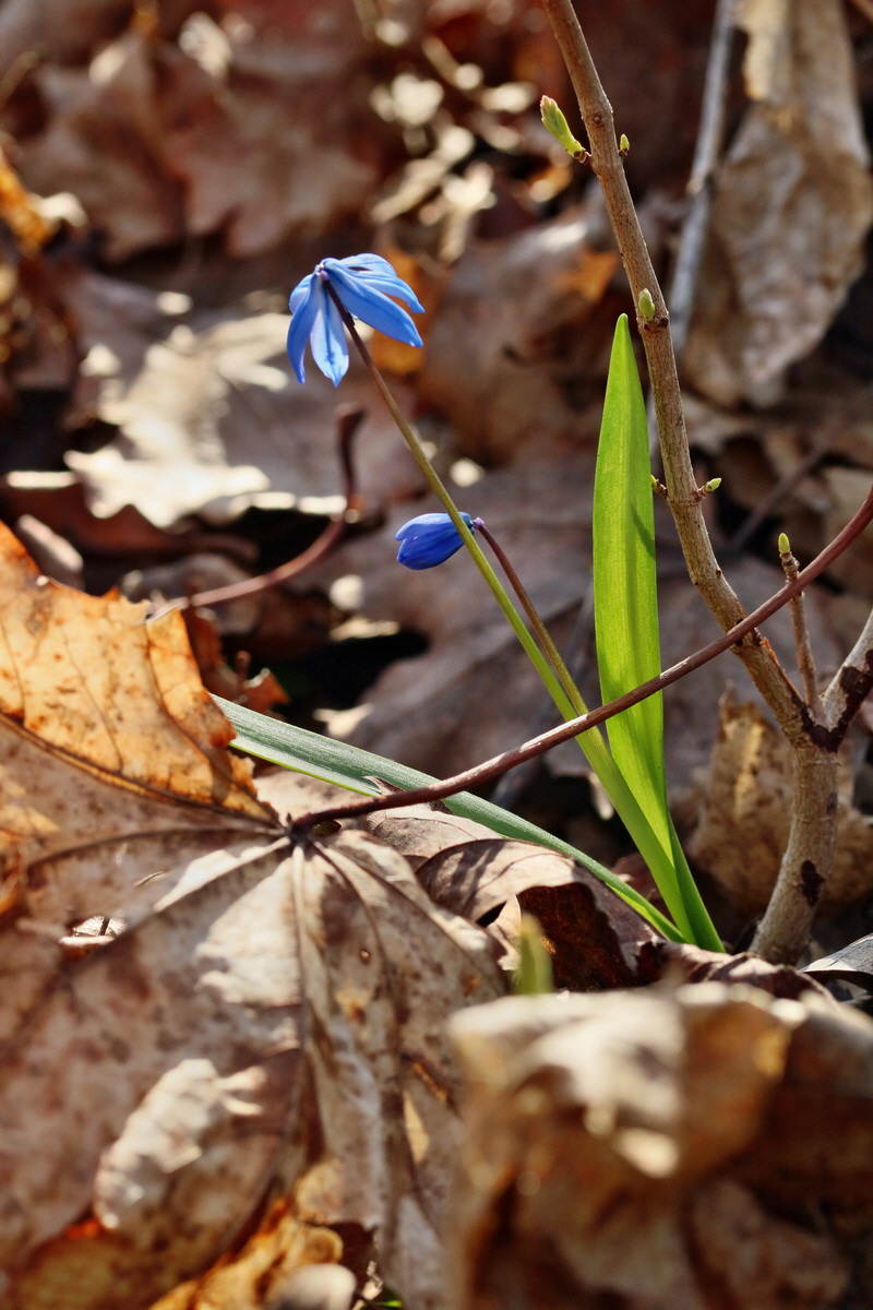 RNA-2017-03-25-00026852p_Bildgr��e �ndern