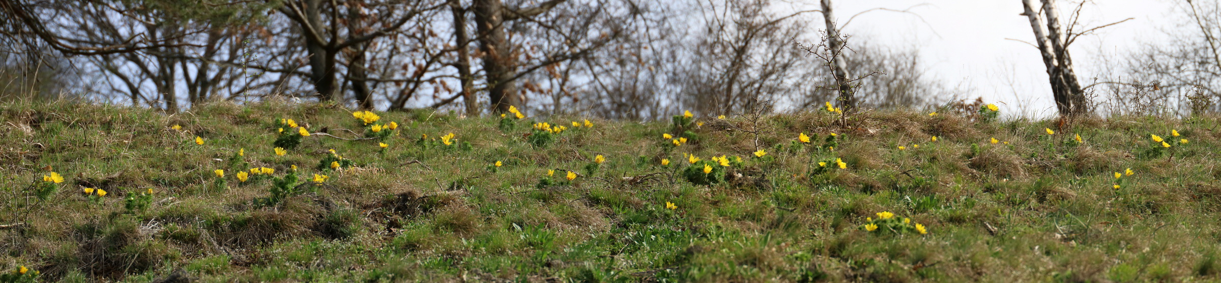 [Group 13]-RNA-2017-03-29-00027430_RNA-2017-03-29-00027438-4 images_Bildgr��e �ndern