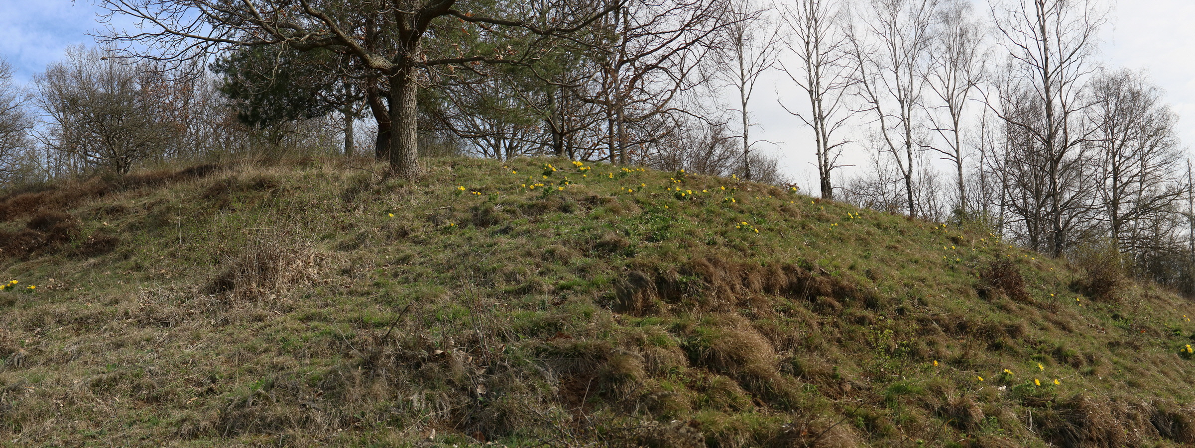 [Group 2]-RNA-2017-03-29-00027439_RNA-2017-03-29-00027441-3 images_Bildgr��e �ndern