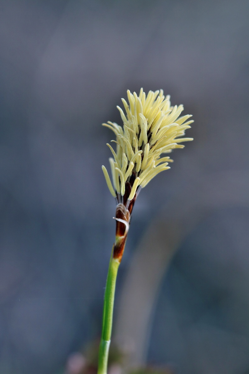 RNA-2017-03-29-00027330p_Bildgr��e �ndern