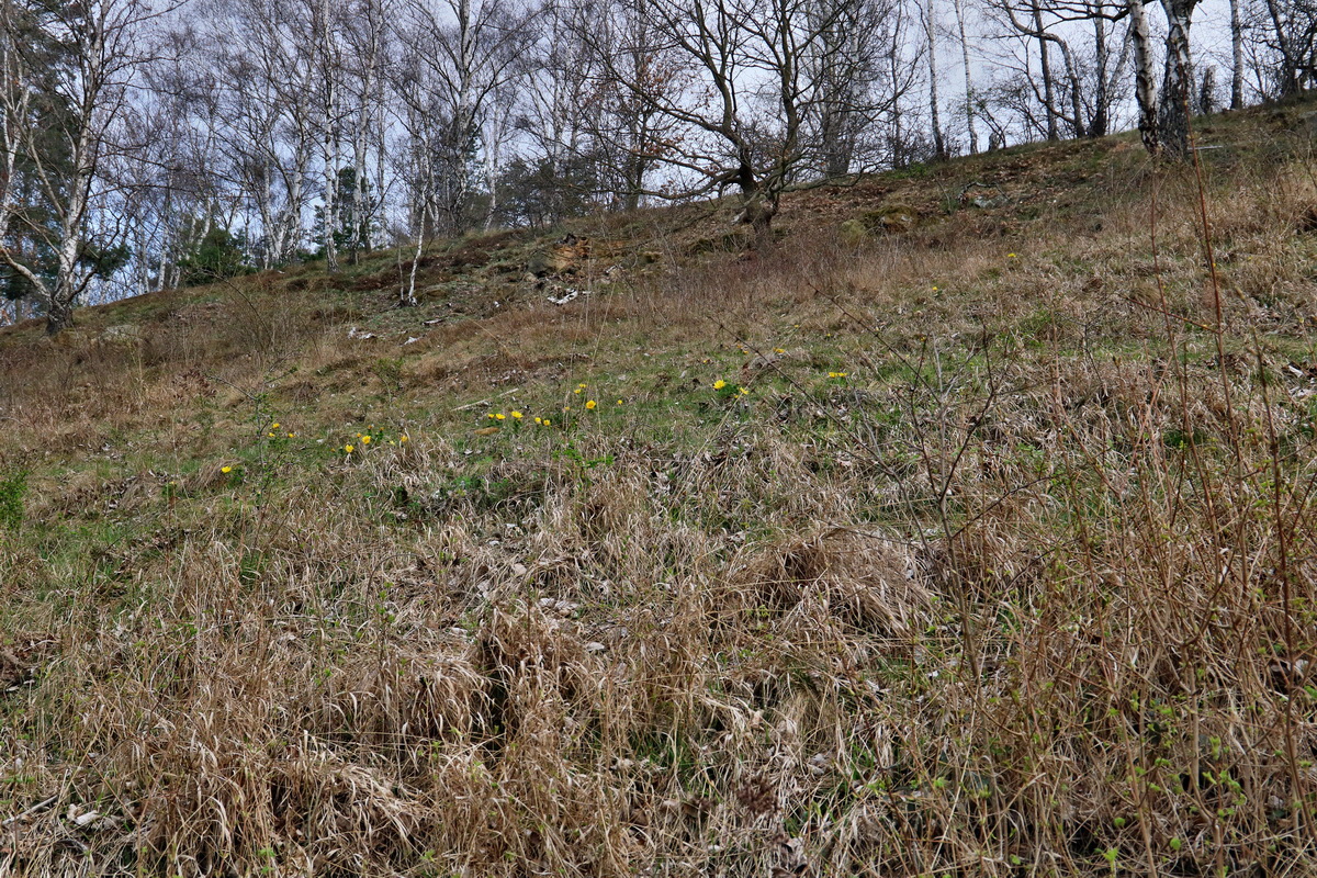 RNA-2017-03-29-00027334p_Bildgr��e �ndern