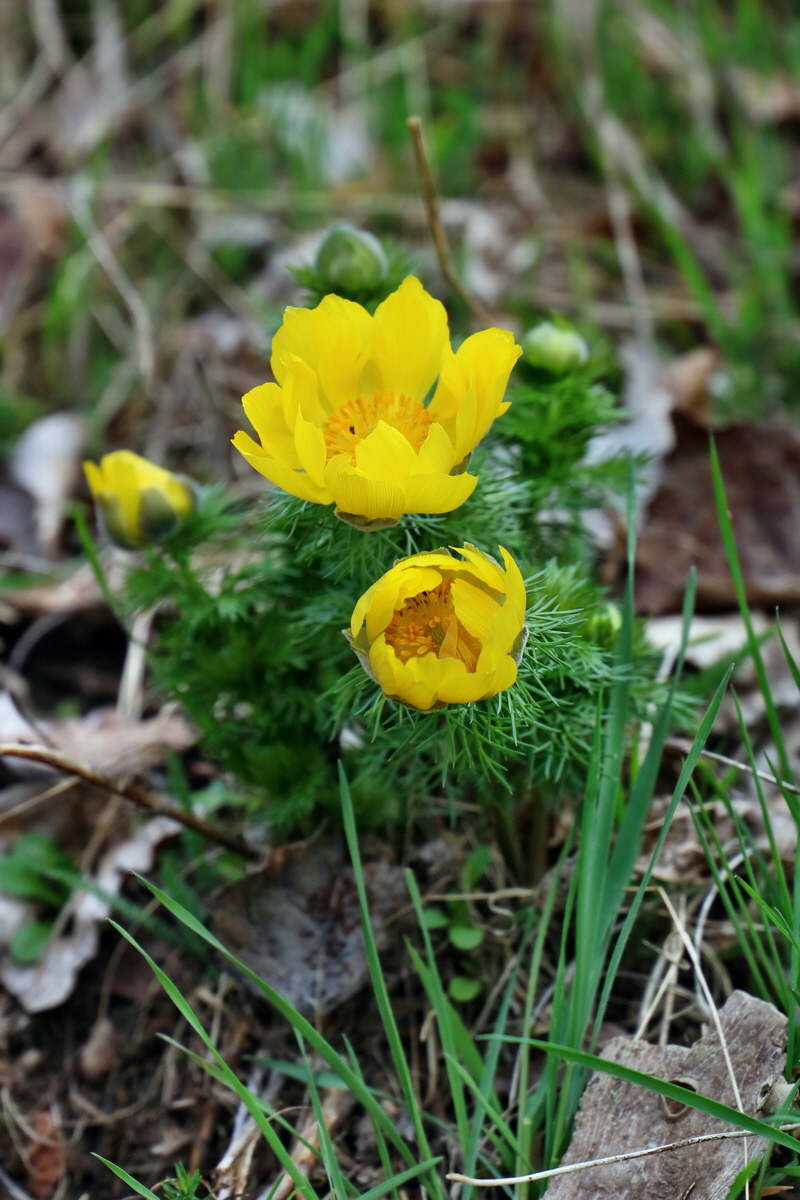 RNA-2017-03-29-00027343p_Bildgr��e �ndern