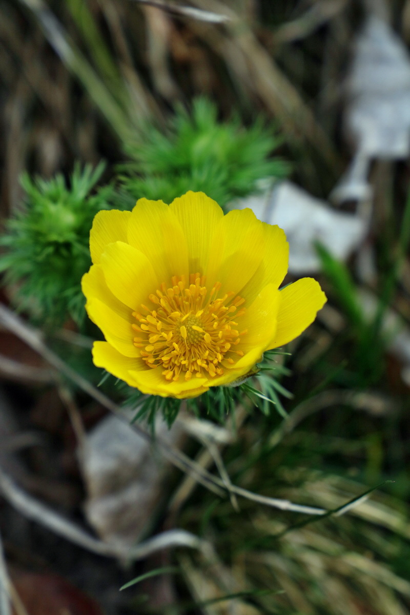 RNA-2017-03-29-00027346p_Bildgr��e �ndern