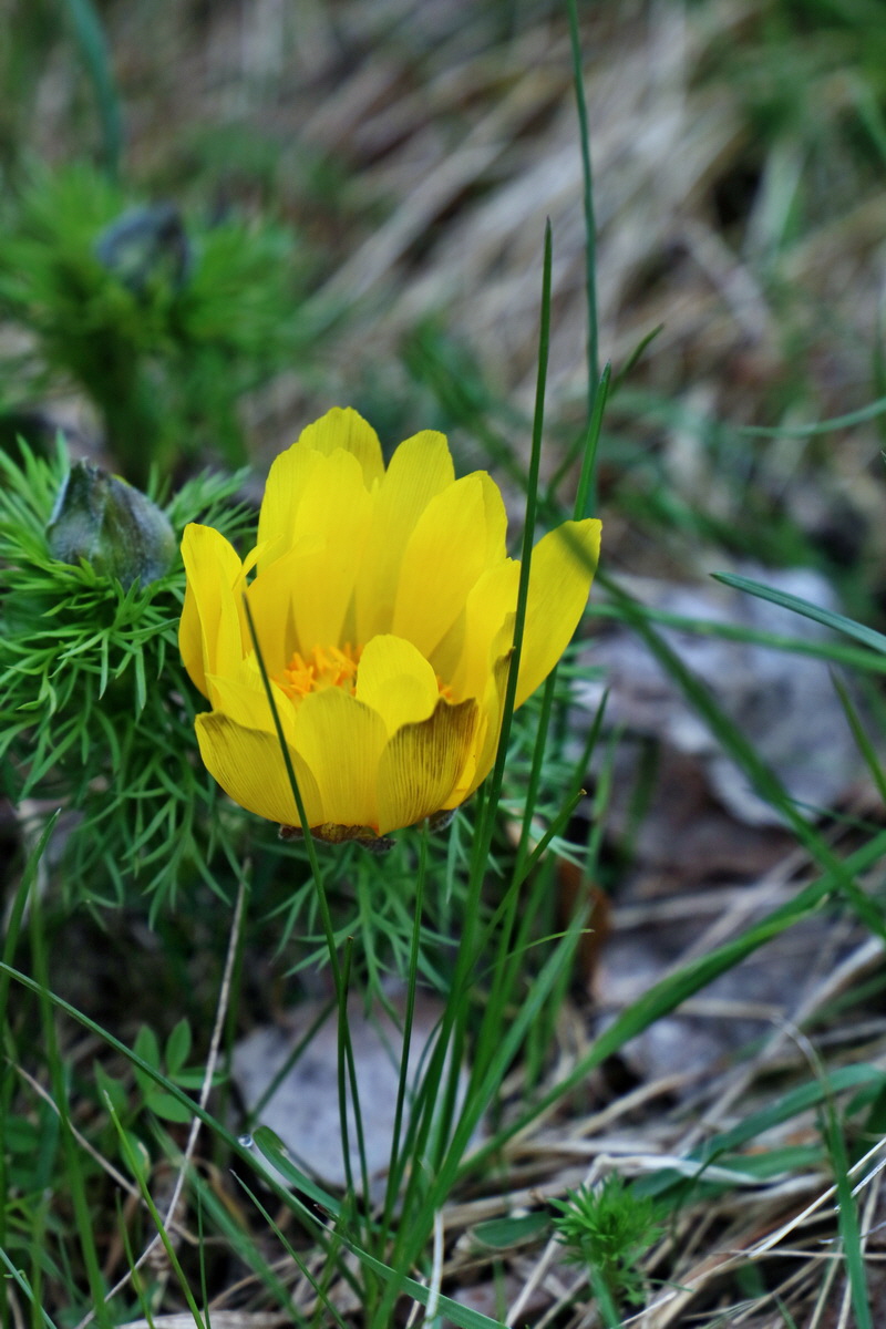 RNA-2017-03-29-00027349p_Bildgr��e �ndern