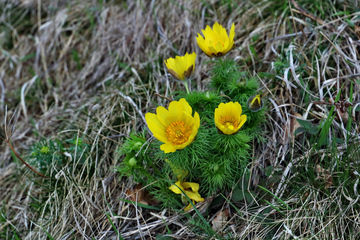 RNA-2017-03-29-00027363p_Bildgr��e �ndern